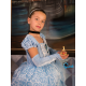 Cinderella  Princess Dress