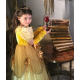 Belle Princess Dress, Beauty and the Beast Dress