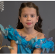 Cinderella Butterfly Princess Dress