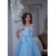 Blue Leaf and Flower Girl Dress