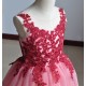 Burgundy Lace Princess Dress