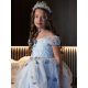 Butterfly Cinderella Lace Haute Couture Girl Dress – Little Duchess Collection 2020