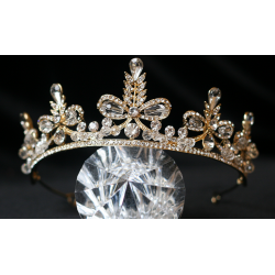 Wedding Ringstones Crown