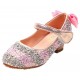 Sparkeling Pink with Silver Closed Shoes with Heel