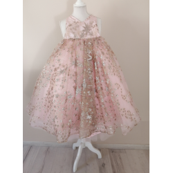 Pink Star Princess Dress