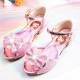 Princess Sofia Shoes