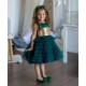 Green with Gold Sequins Birthday Dress