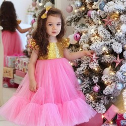 Gold Sequins with Pink Tulle Birthday Dress