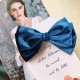 Velvet Bow Clip - Set of 2pc