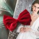 Velvet Bow Clip - Set of 2pc