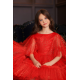 Red Sparkling Tulle Birthday Dress