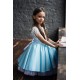 Light Blue Birthday Dress