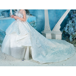 Ice Princess Design Dress