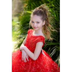 Red with Silver Birthday Dress