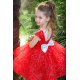 Red with Silver Birthday Dress