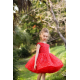 Red with Silver Birthday Dress
