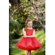 Red with Silver Birthday Dress
