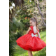 Red with Silver Birthday Dress