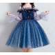 Blue Star Dress