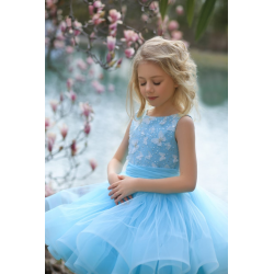 Blue Birthday Dress