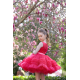 Raspberry Birthday Dress