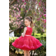 Raspberry Birthday Dress