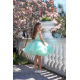 Turquoise Butterfly Birthday Dress