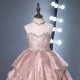 Sparkling Pink Feather Princess Dress