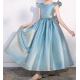 Shinny Blue Bow Princess Dress