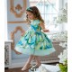 Turquoise Flower Birthday Dress