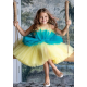 Yellow with Blue Birthday Dress