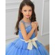 Blue with Gold Ribbon Birthday Dress