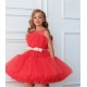 Red with Gold Ribbon Birthday Dress