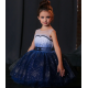 Sparkling Blue Star Birthday Dress