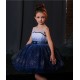 Sparkling Blue Star Birthday Dress