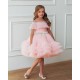 Light Pink Birthday Dress