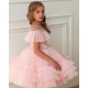 Light Pink Birthday Dress