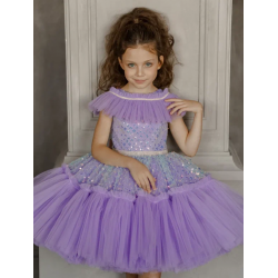 Sparkling Purple Birthday Dress