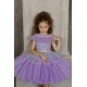 Sparkling Purple Birthday Dress