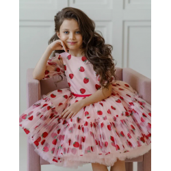 Strawberry Birthday Dress