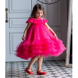 Fuchsia Girl Birthday Dress