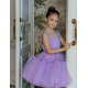 Purple with Blue Butterflies Birthday Dress