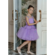 Purple with Blue Butterflies Birthday Dress