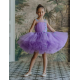 Purple with Blue Butterflies Birthday Dress