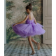 Purple with Blue Butterflies Birthday Dress