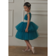 Turquoise & Silver Birthday Dress