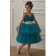 Turquoise & Silver Birthday Dress
