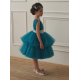 Turquoise & Silver Birthday Dress