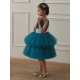 Turquoise & Silver Birthday Dress