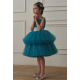 Turquoise & Silver Birthday Dress